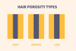 Hair Porosity Types